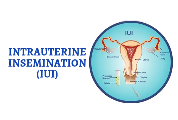 Dhanda Clinic (Women Health)